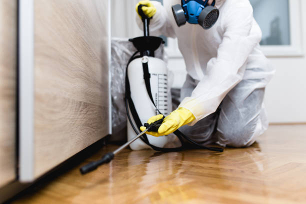 Best Local Pest Control Services  in Providence, UT