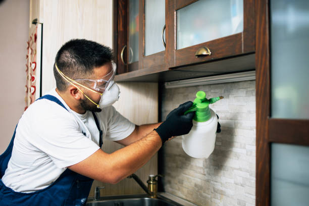Best Best Pest Control Companies  in Providence, UT