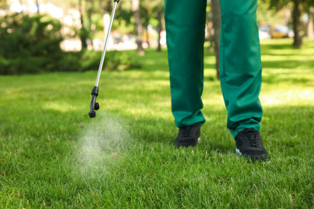 Insect Control in Providence, UT