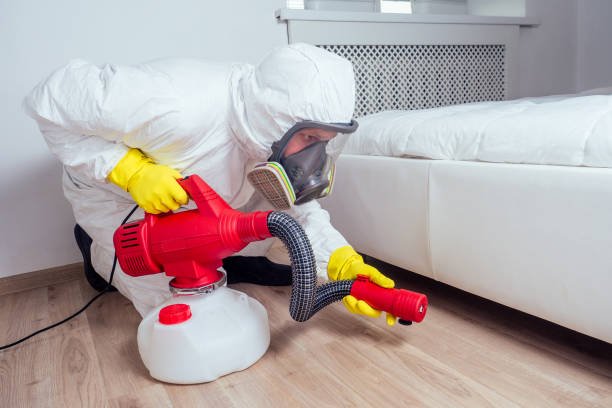 Best Affordable Pest Control Services  in Providence, UT