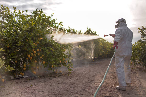 Best Exterminator Services  in Providence, UT