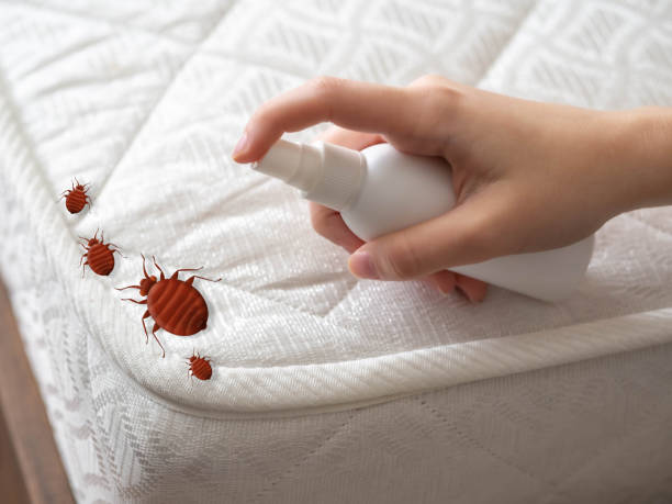 Best Pest Control Near Me  in Providence, UT