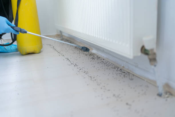 Best Wildlife Control Services  in Providence, UT